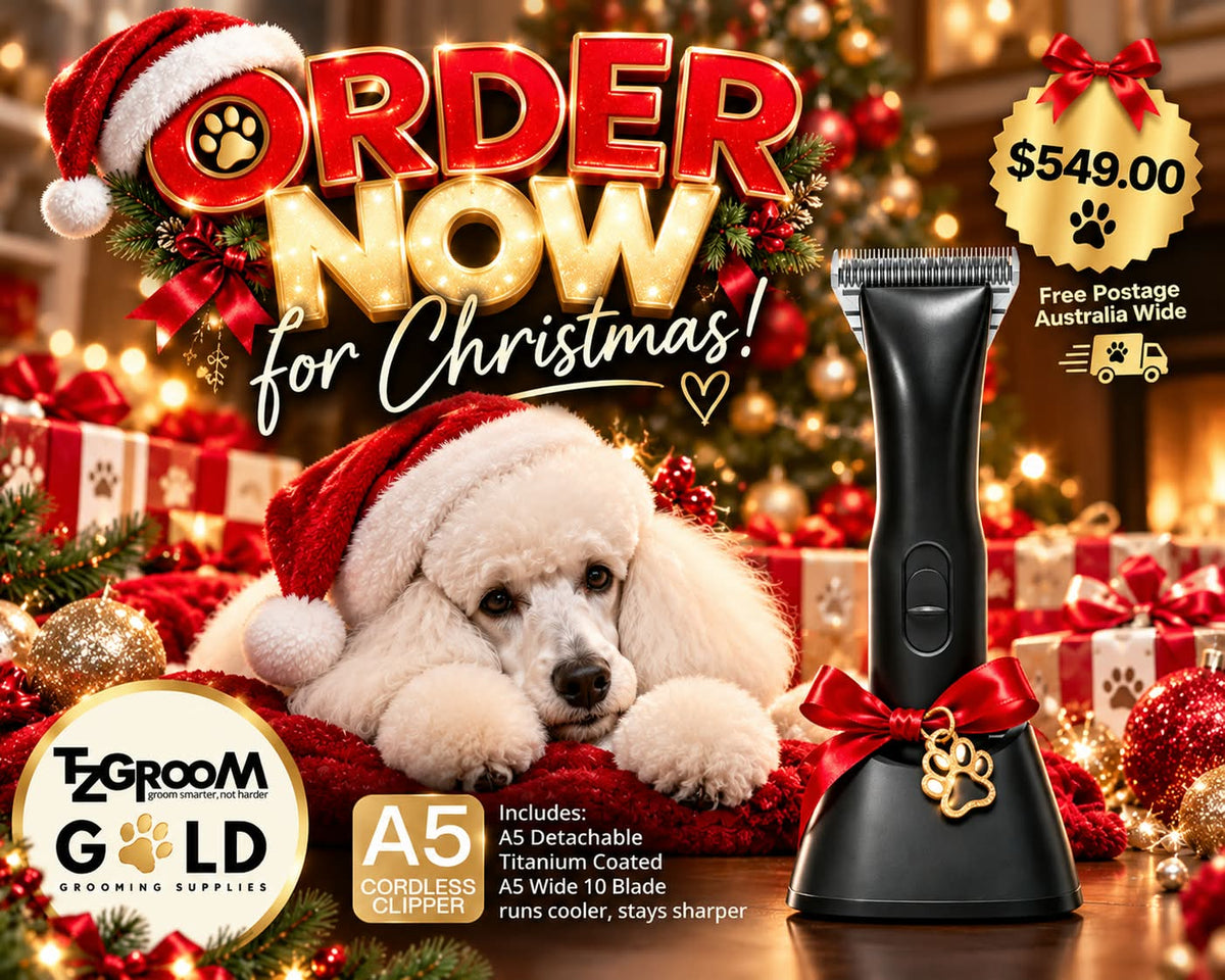 TZGROOM CUUUTS A5 Cordless Clipper with a white poodle, order now for Christmas